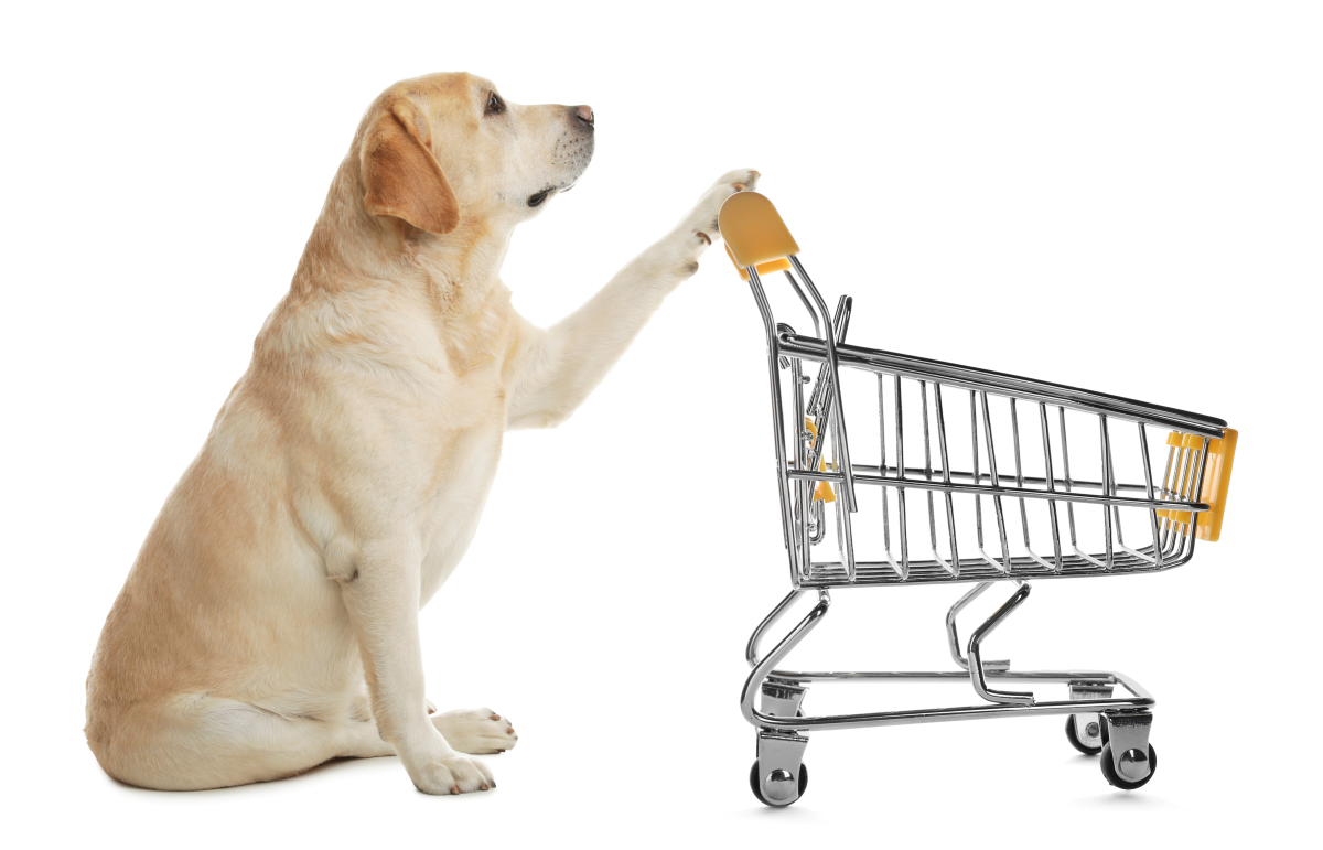 Dog with shopping trolley